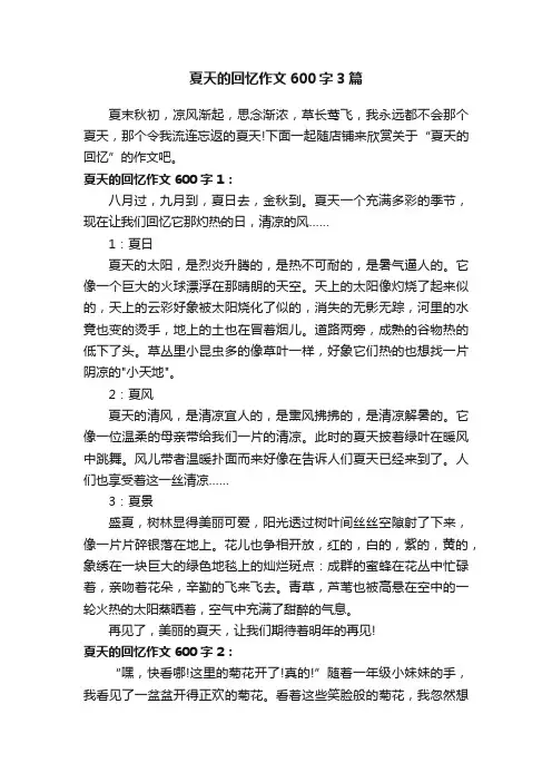 夏天的回忆作文600字3篇