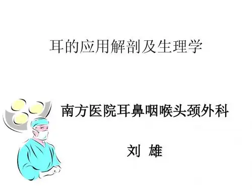 耳鼻喉解剖