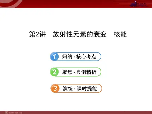 人教版高中物理一轮复习课件：选修3-5.3.2放射性元素的衰变  核能