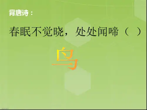 百鸟朝凤讲课PPT