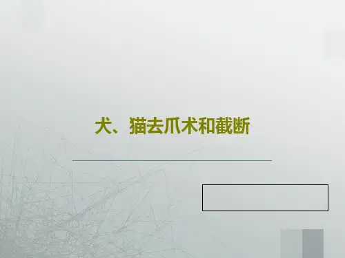 犬、猫去爪术和截断35页PPT
