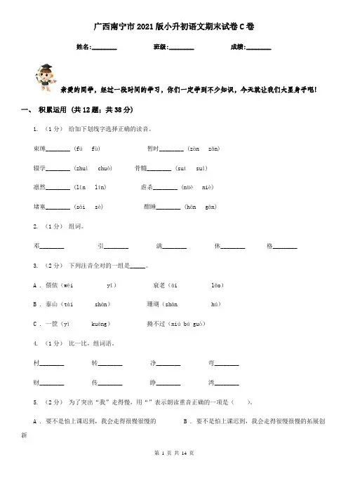 广西南宁市2021版小升初语文期末试卷C卷(模拟)