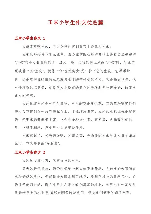 玉米小学生作文优选篇