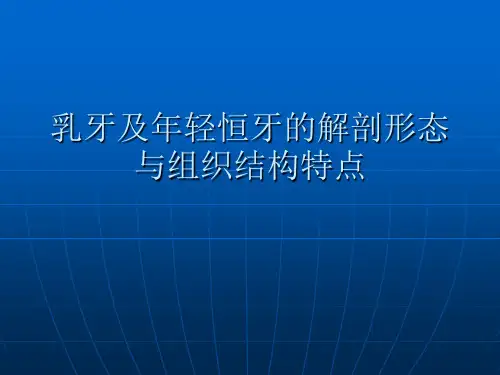【儿童口腔医学PPT】  牙的解剖形态与组织结构特点