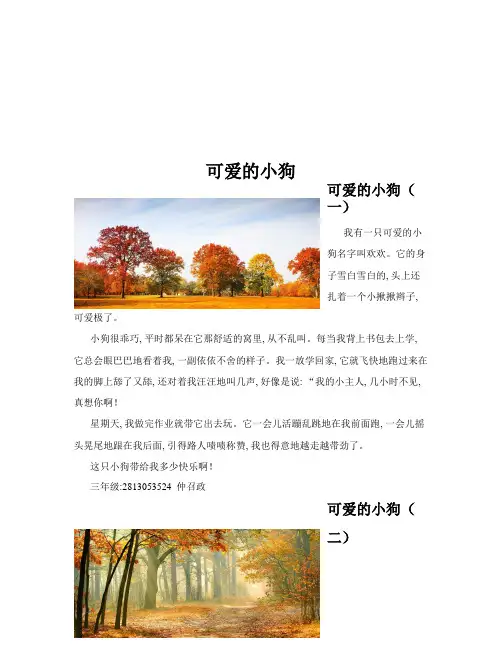 可爱的小狗(共10篇)