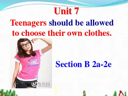 人教新目标九年级英语全册《Unit 7 Section B 2a-2e》