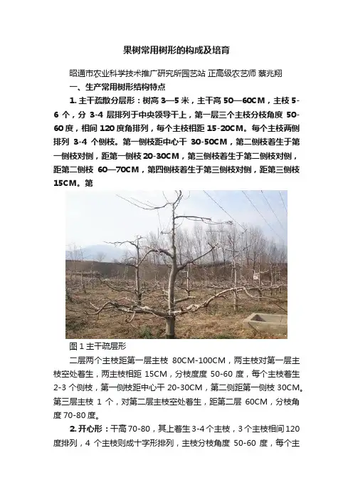 果树常用树形的构成及培育
