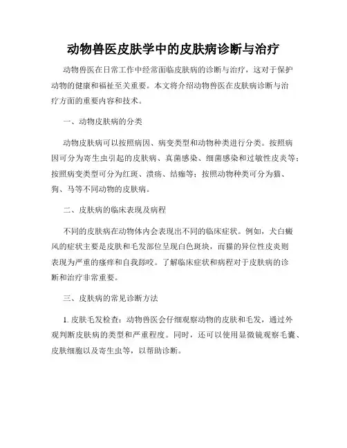 动物兽医皮肤学中的皮肤病诊断与治疗