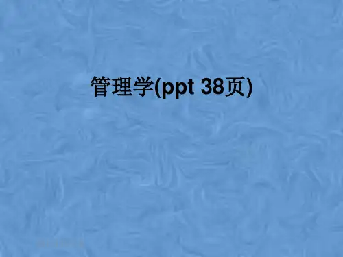管理学(ppt 38页)