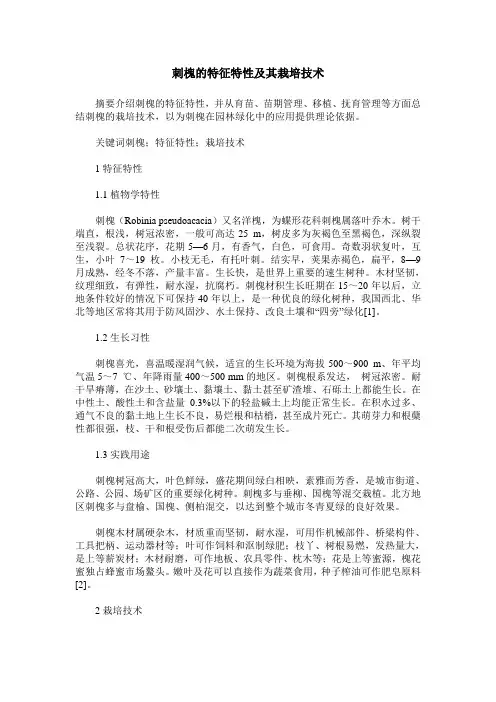 刺槐的特征特性及其栽培技术