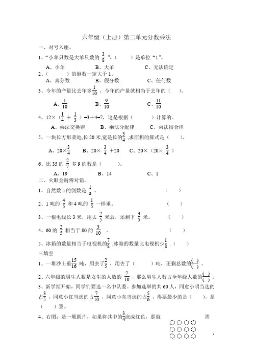 六年级数学上册第二单元易错题(人教版)