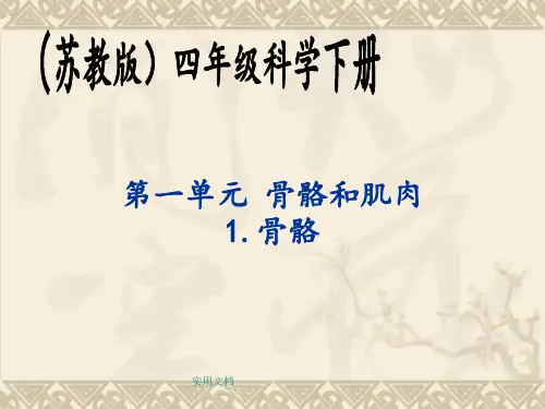 苏教版科学四年级下册第一单元《骨骼与肌肉》