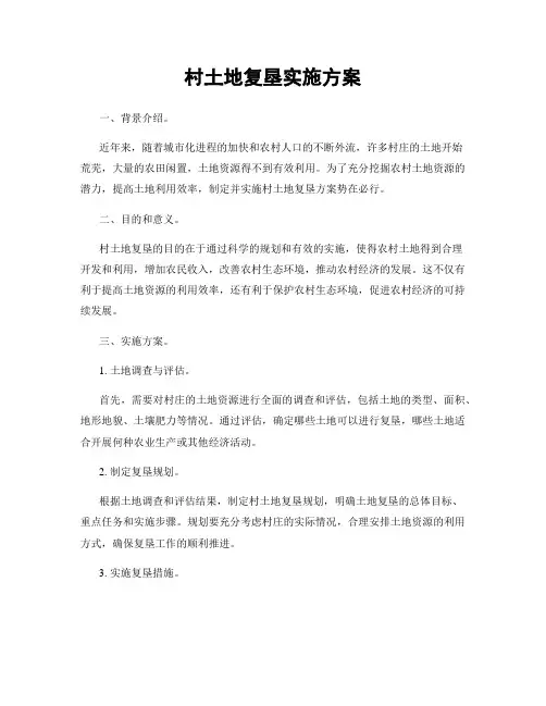 村土地复垦实施方案