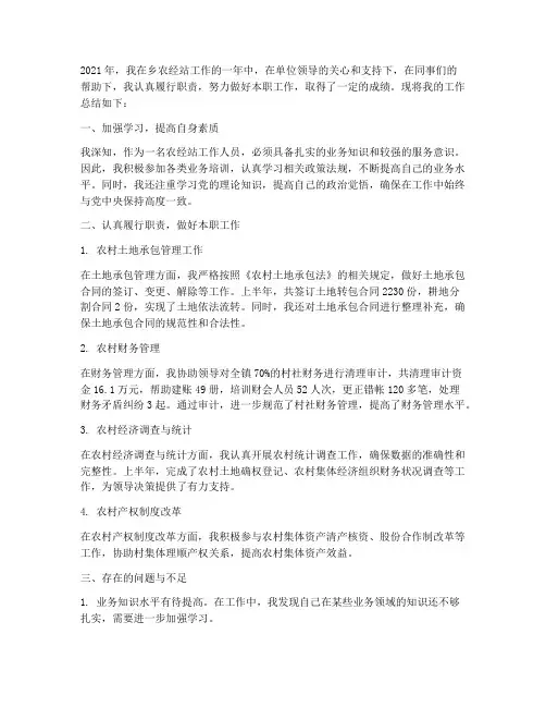 乡农经站个人工作总结