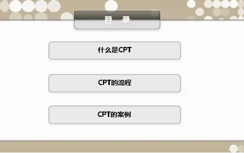 CPT贸易术语介绍教学文案