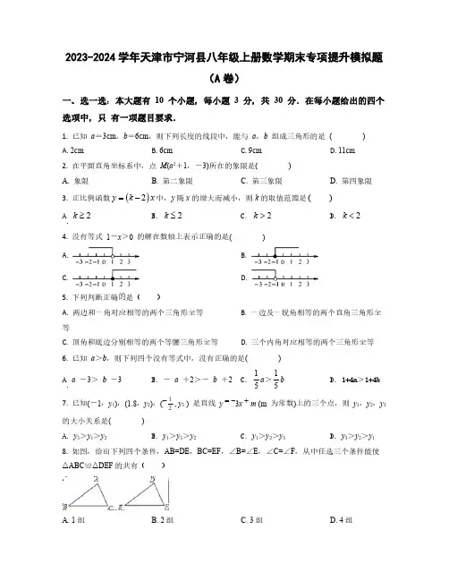 2023-2024学年天津市宁河县八年级上学期数学期末质量检测模拟题合集2套(含解析)
