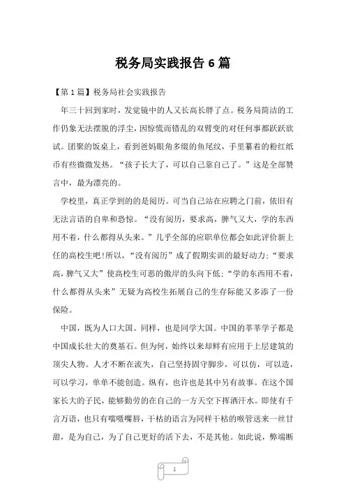2023年税务局实践报告