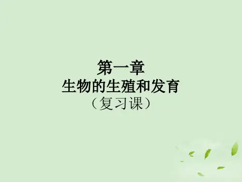 八年级生物-生物的生殖和发育课件-