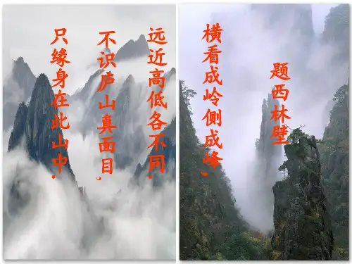 立体图形的三视图 ppt课件