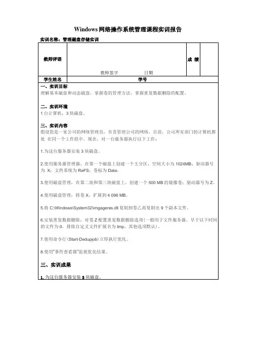 管理磁盘存储实训报告