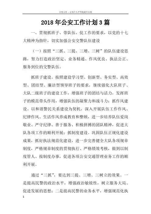 2018年公安工作计划3篇