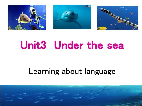 人教版 新课标 2019-2020 高二下 选修七  unit 3 Under the sea la