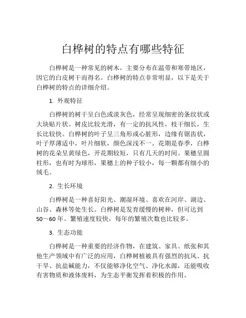 白桦树的特点有哪些特征
