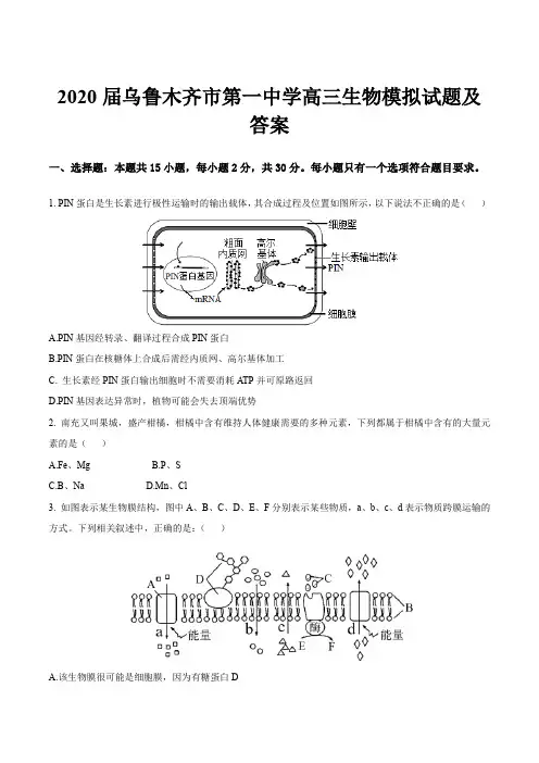 2020届乌鲁木齐市第一中学高三生物模拟试题及答案