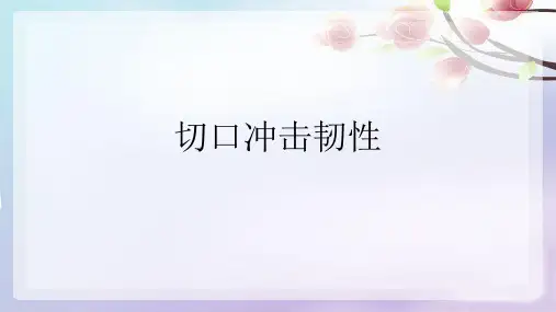 切口冲击韧性