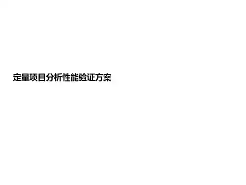定量项目分析性能验证PPT课件