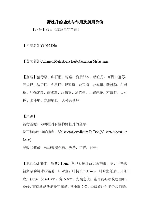 野牡丹的功效与作用及药用价值