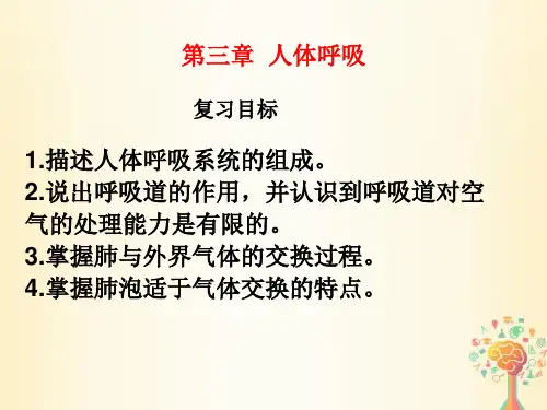 七年级生物下册第三章人体呼吸复习课件(新版)新人教版