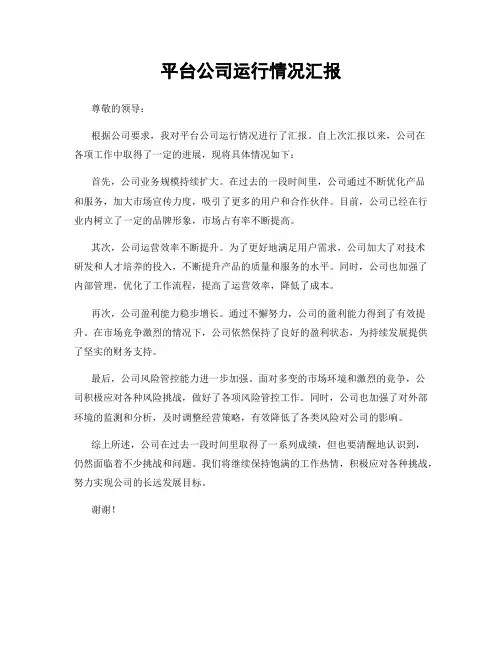平台公司运行情况汇报