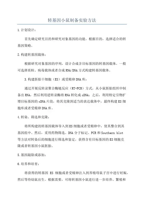 转基因小鼠制备实验方法