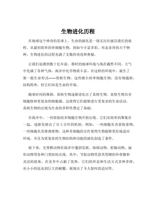 生物进化历程