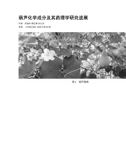 葫芦化学成分及其药理学研究进展