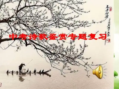 中考语文诗歌鉴赏专题复习