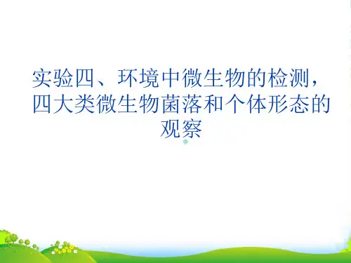 实验四、环境中微生物的检测课件
