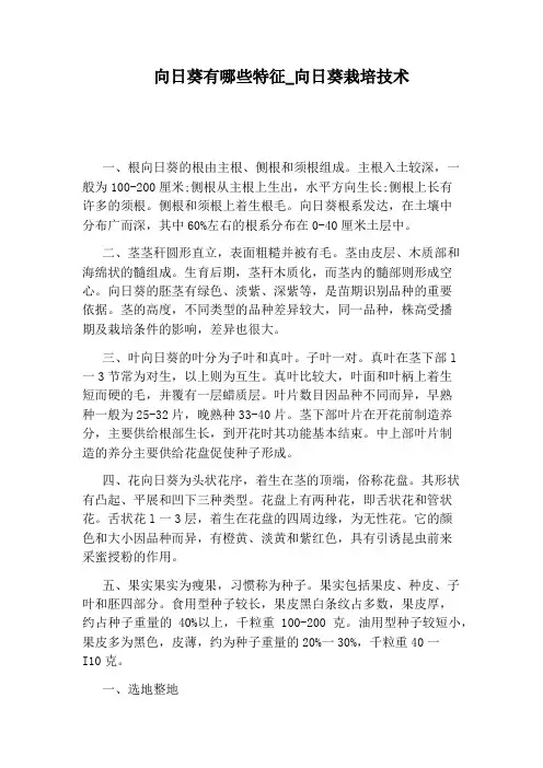 向日葵栽培技术