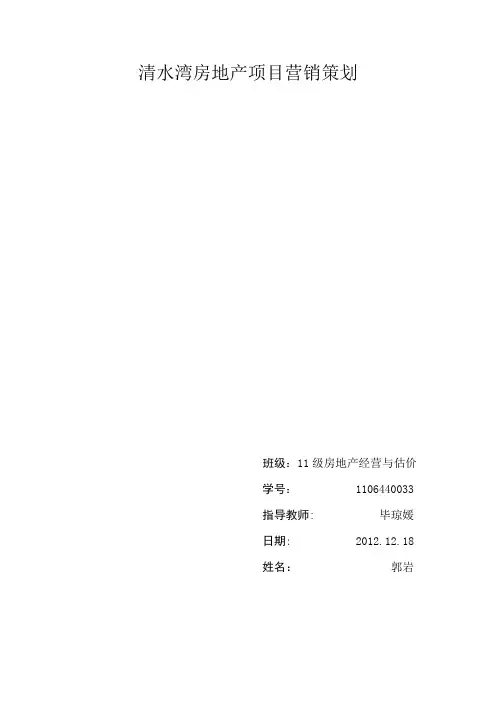 清水湾房地产项目营销策划