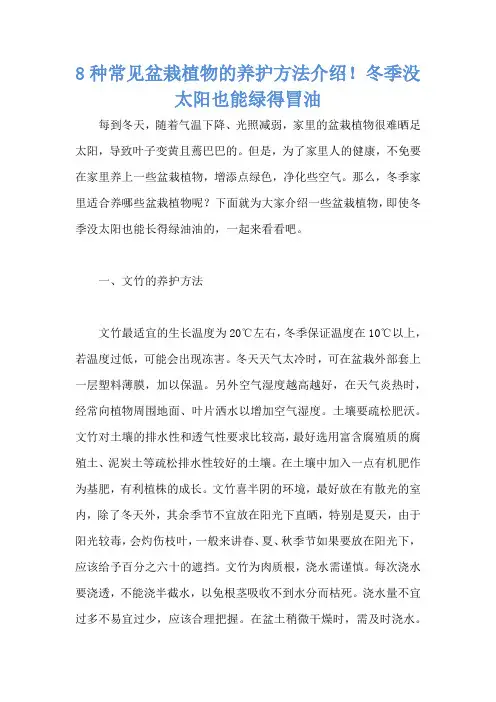 8种常见盆栽植物的养护方法介绍!冬季没太阳也能绿得冒油