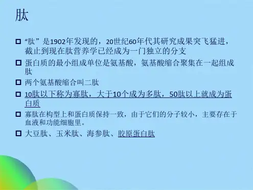 优选胶原蛋白肽课件ppt(共14张PPT)