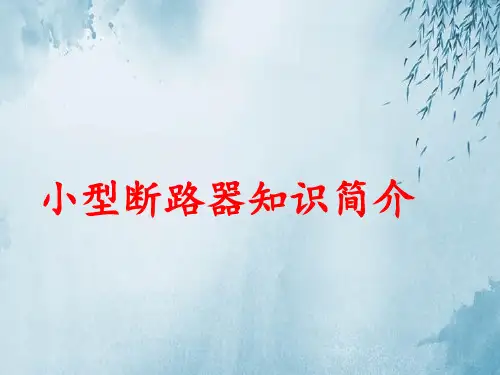 小型断路器培训