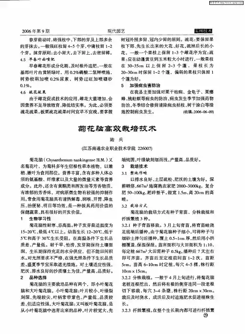 菊花脑高效栽培技术