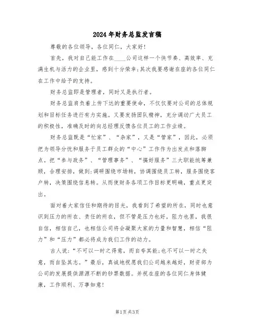 2024年财务总监发言稿(二篇)