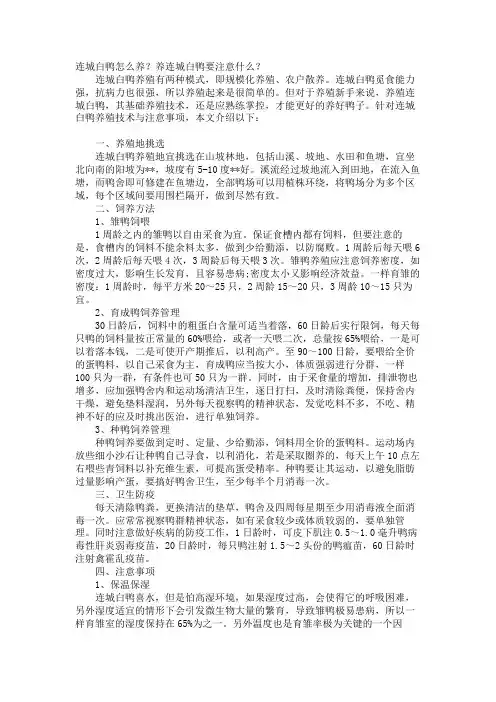 连城白鸭怎么养？养连城白鸭要注意什么？