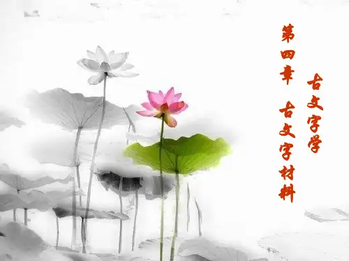古文字学-第四章-古文字材料