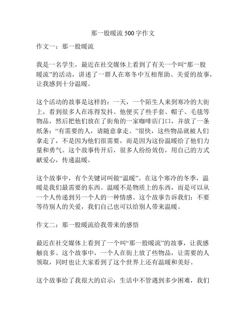 那一股暖流500字作文