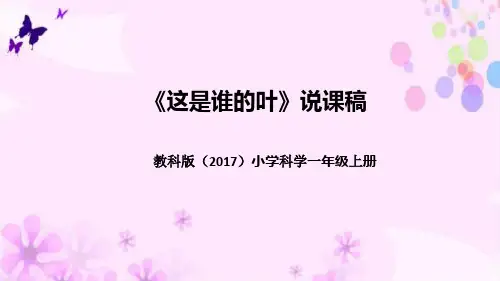 教科版(2017版)科学一年上册《这是谁的叶》说课稿(附反思、板书)课件