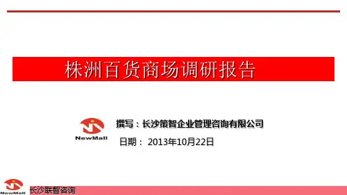 株洲百货商业调研报告233